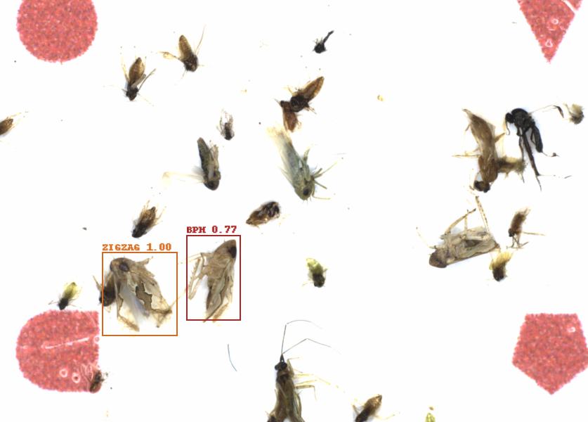 Fullscreen Image