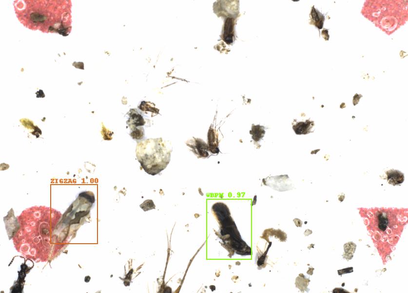 Fullscreen Image