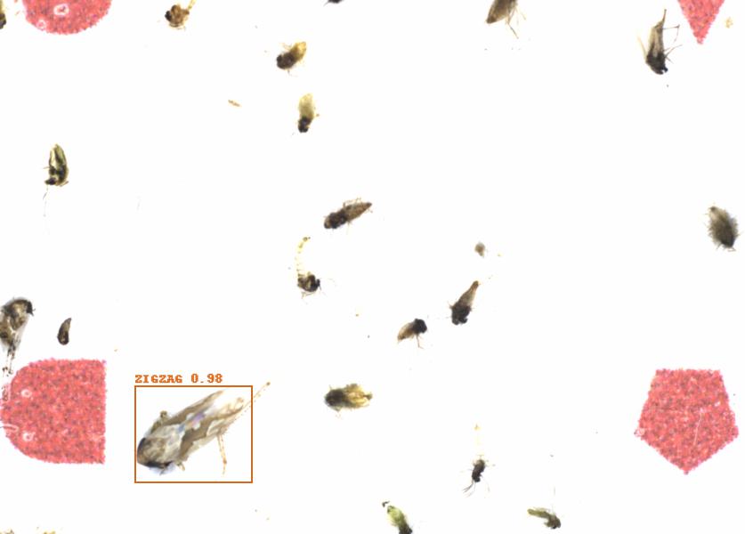 Fullscreen Image
