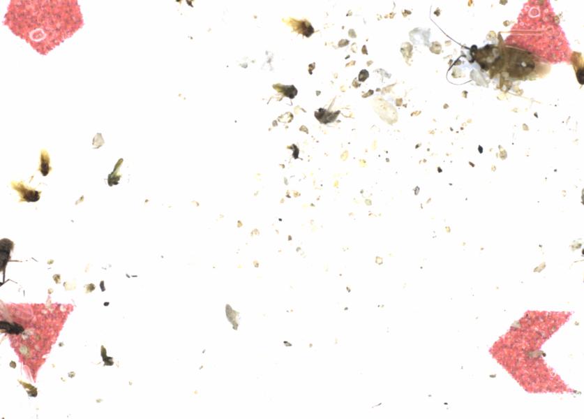 Fullscreen Image