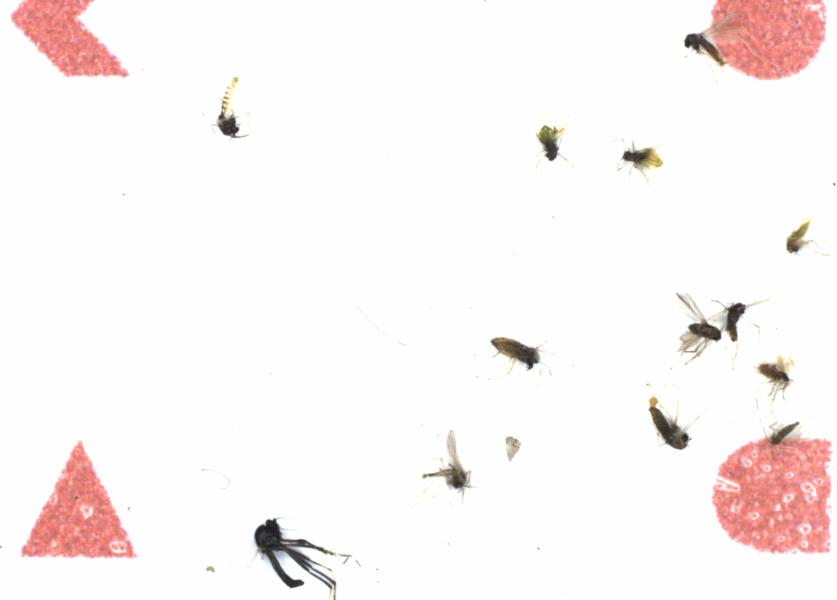 Fullscreen Image
