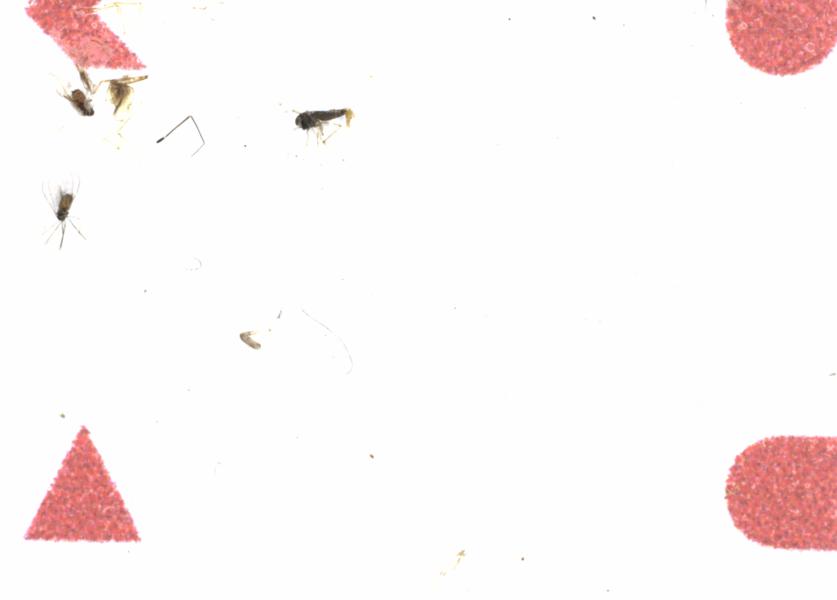 Fullscreen Image