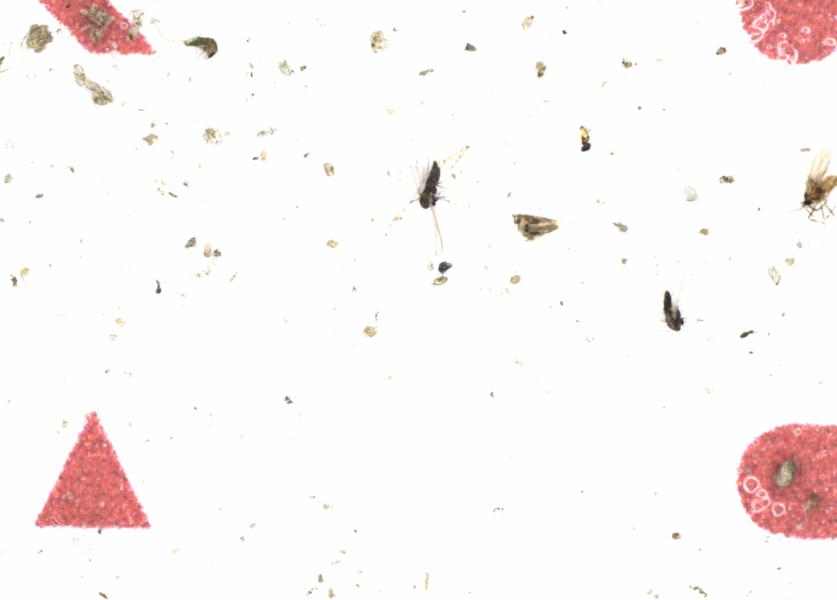 Fullscreen Image