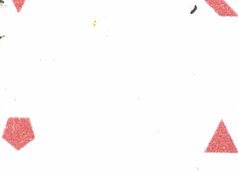 Fullscreen Image