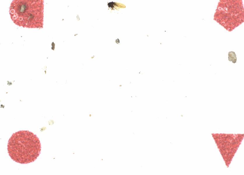 Fullscreen Image