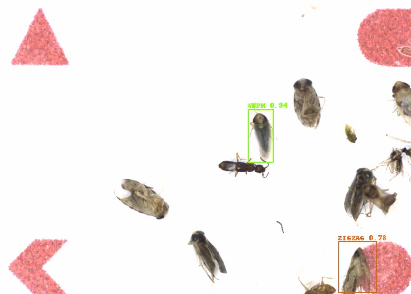 Fullscreen Image