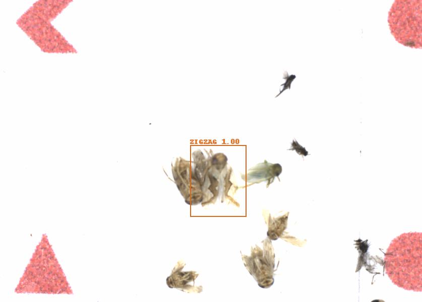 Fullscreen Image