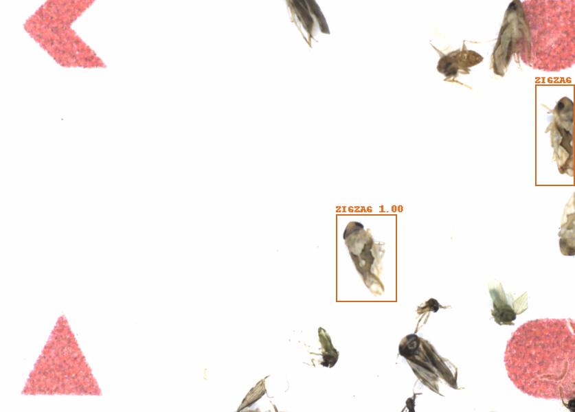 Fullscreen Image