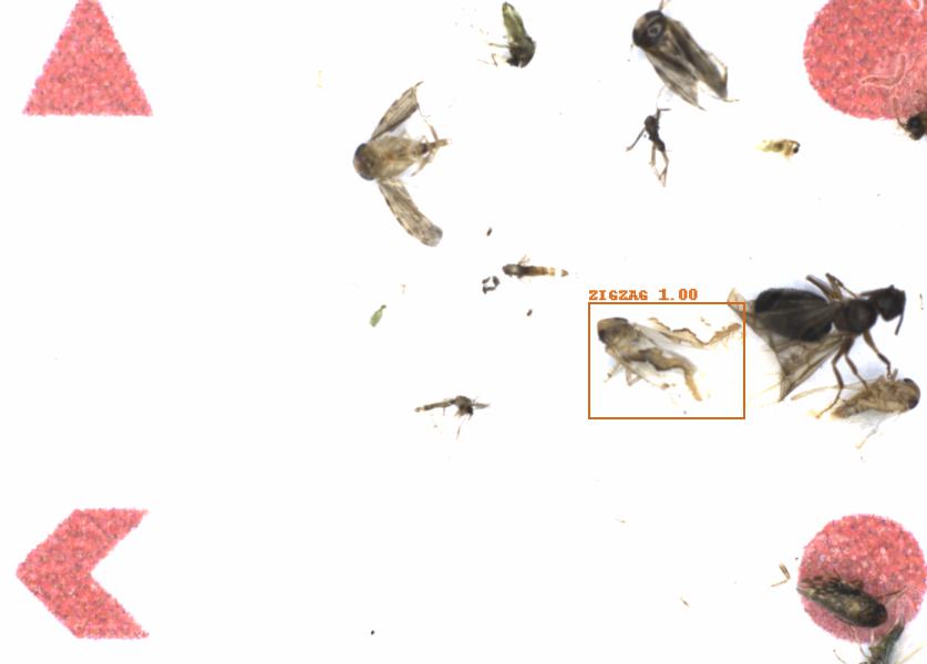 Fullscreen Image