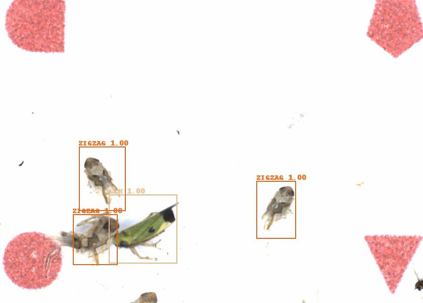 Fullscreen Image