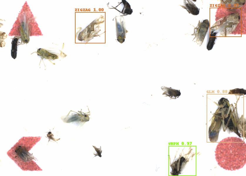 Fullscreen Image