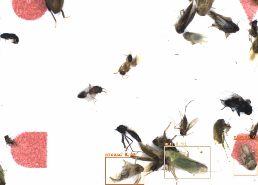 Fullscreen Image