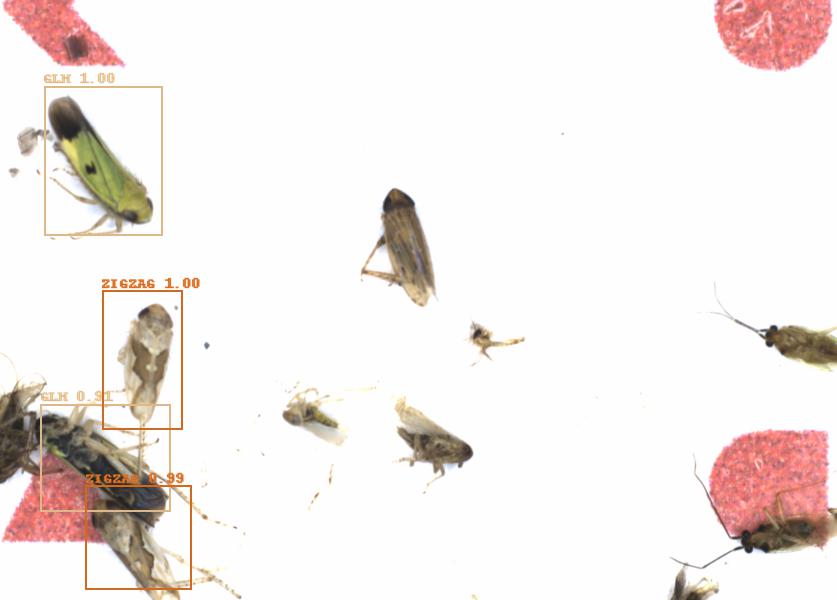 Fullscreen Image
