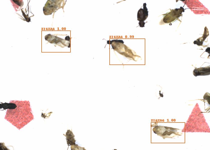 Fullscreen Image