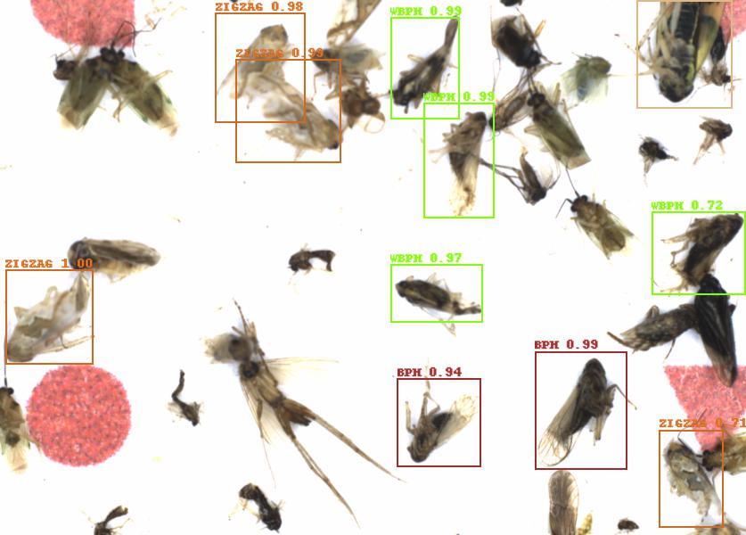 Fullscreen Image