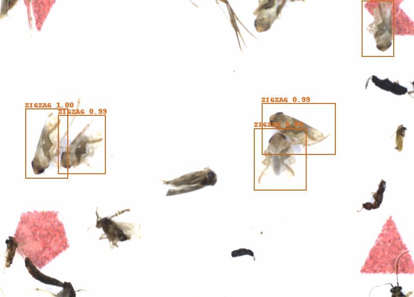 Fullscreen Image