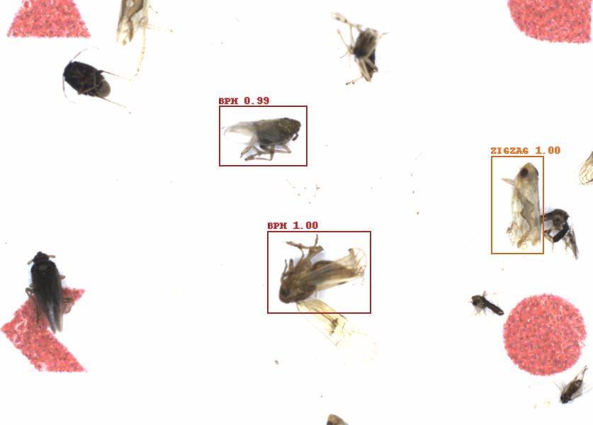 Fullscreen Image