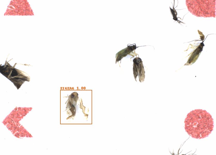 Fullscreen Image