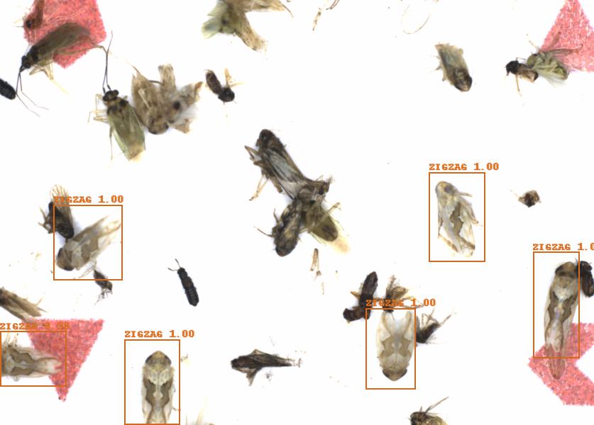 Fullscreen Image