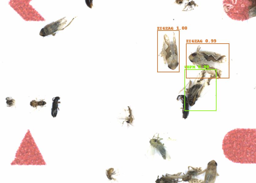 Fullscreen Image