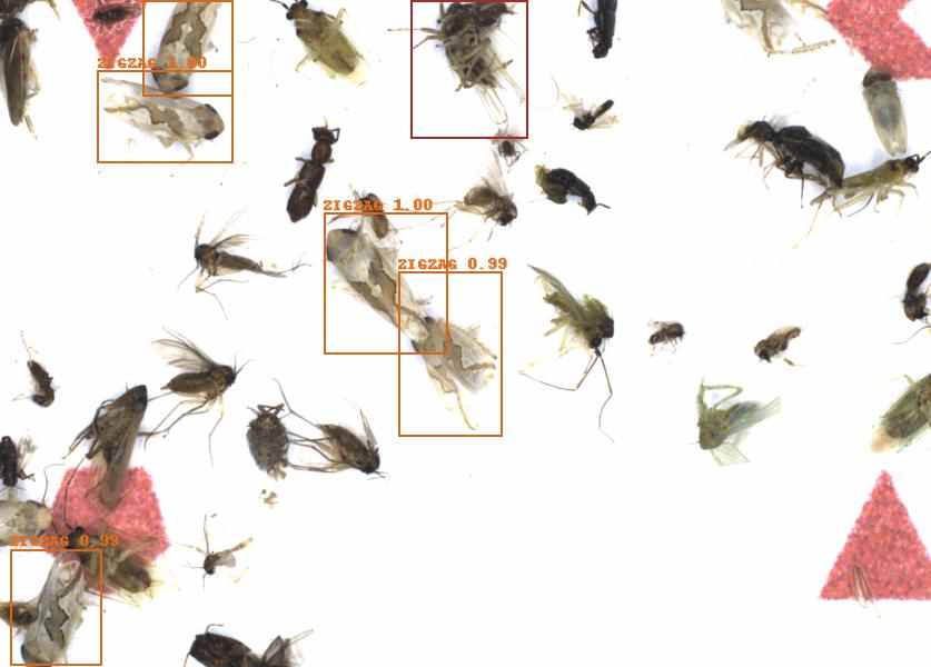 Fullscreen Image