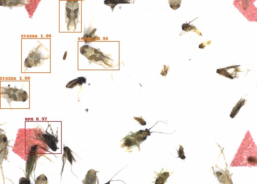 Fullscreen Image