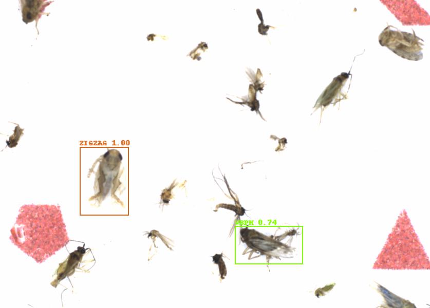 Fullscreen Image
