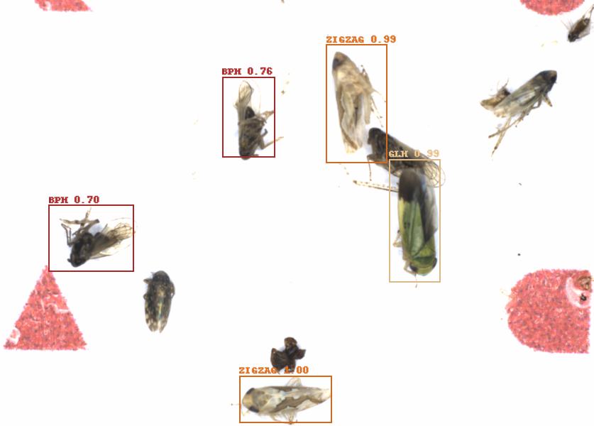 Fullscreen Image