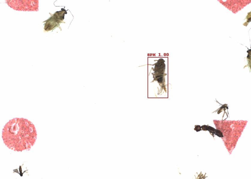 Fullscreen Image