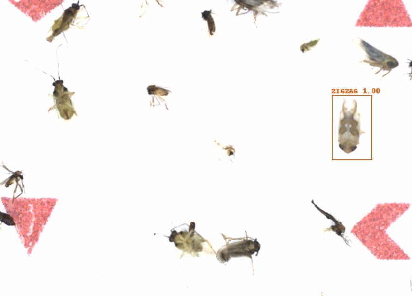 Fullscreen Image