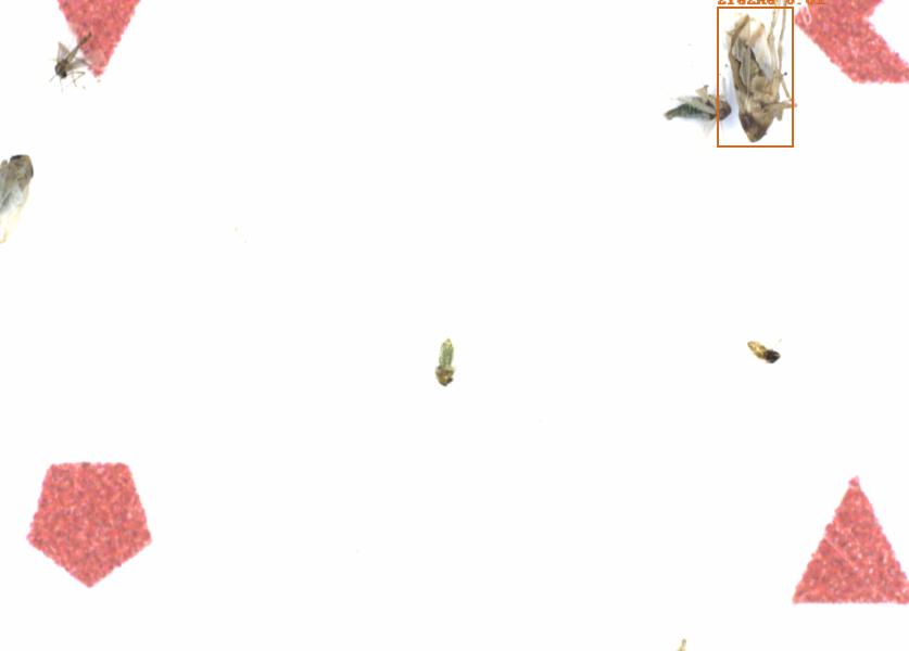 Fullscreen Image