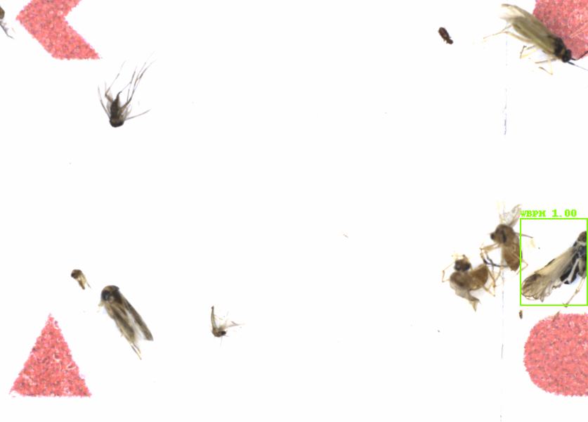 Fullscreen Image