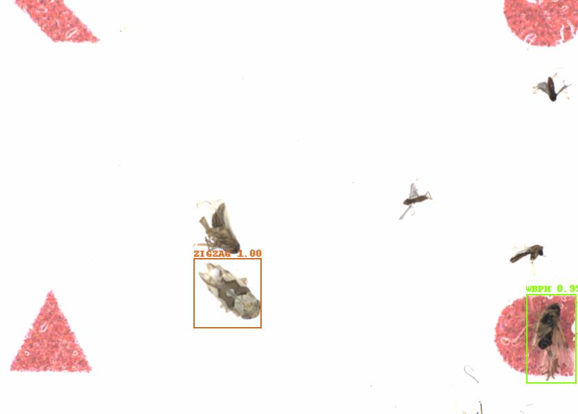 Fullscreen Image