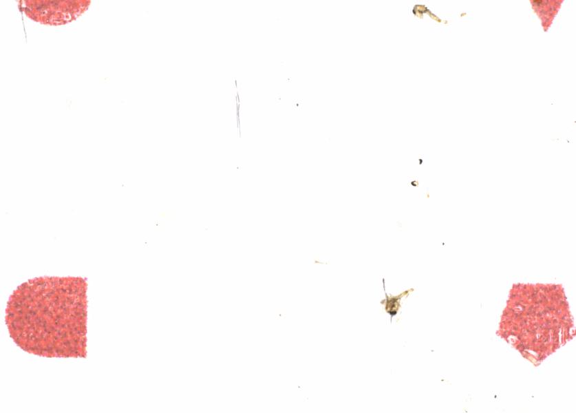 Fullscreen Image