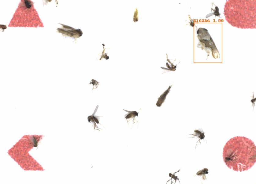 Fullscreen Image