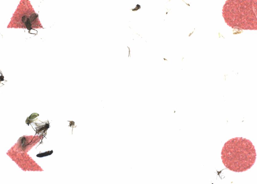 Fullscreen Image