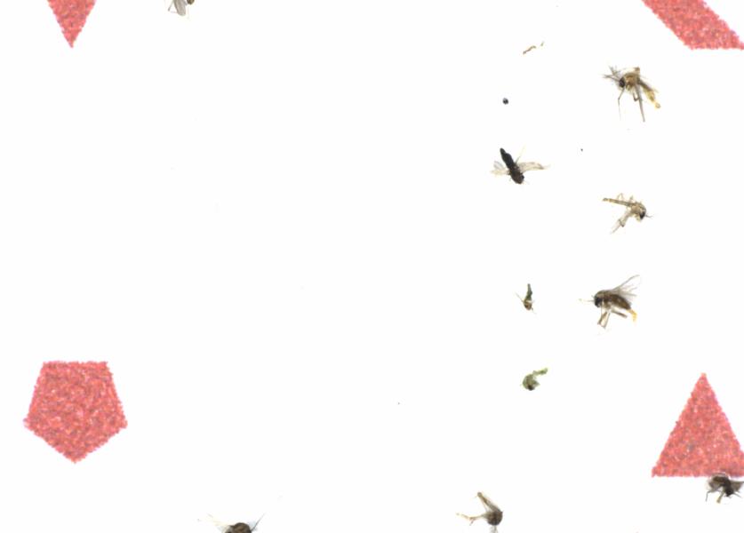 Fullscreen Image