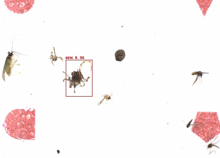 Fullscreen Image
