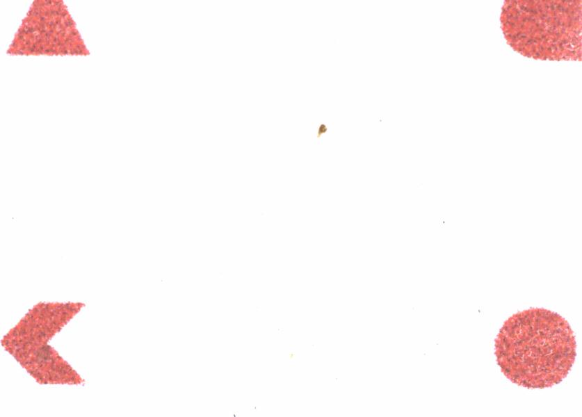 Fullscreen Image