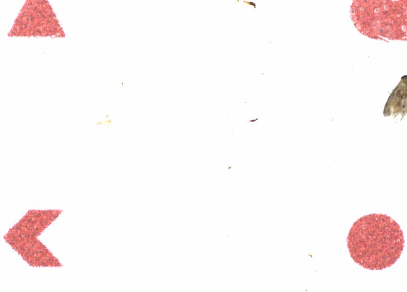 Fullscreen Image