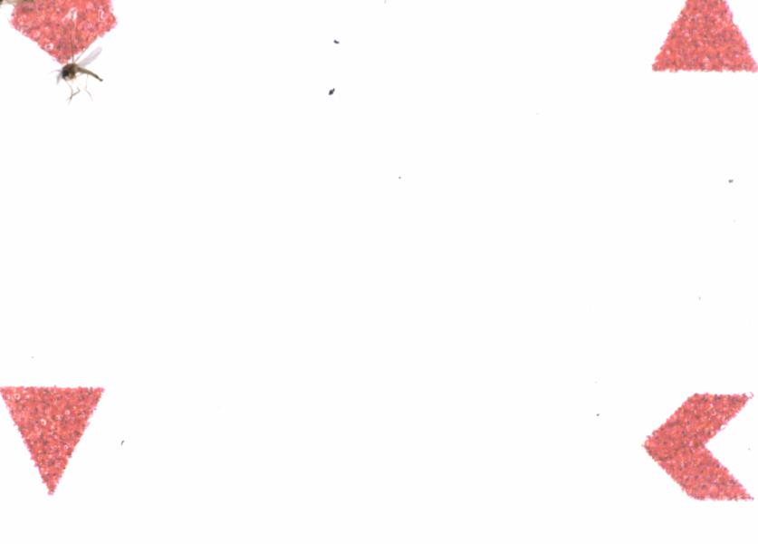 Fullscreen Image