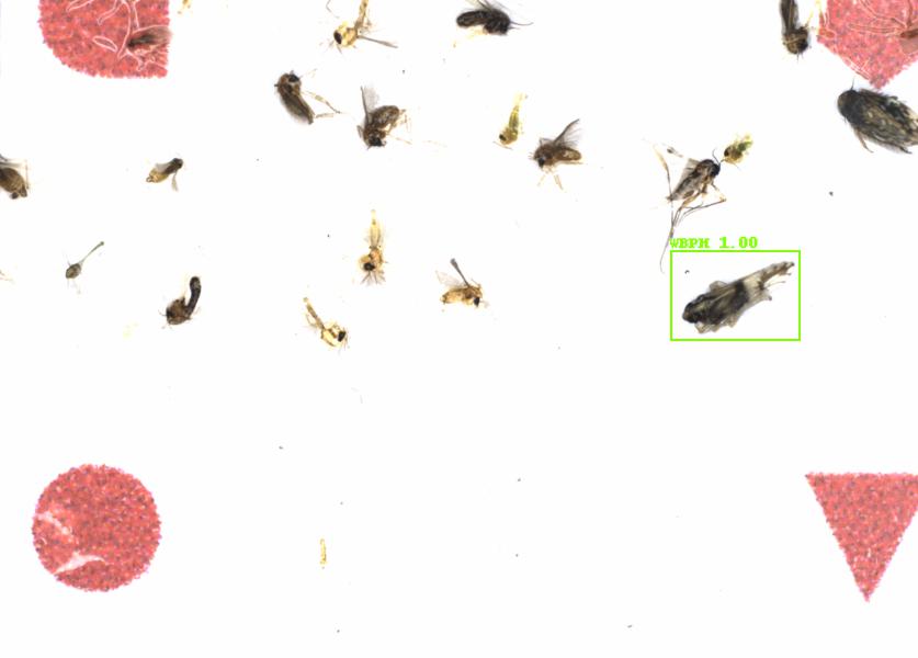 Fullscreen Image