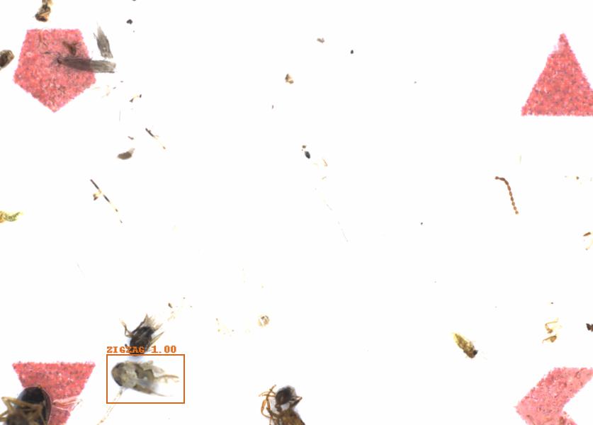 Fullscreen Image