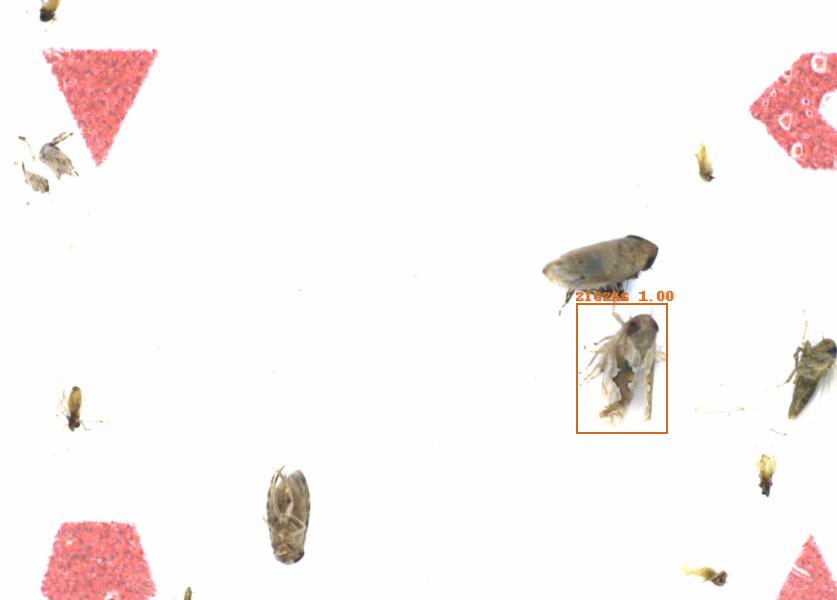 Fullscreen Image