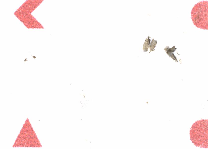 Fullscreen Image
