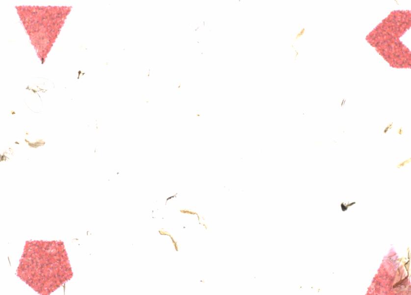 Fullscreen Image