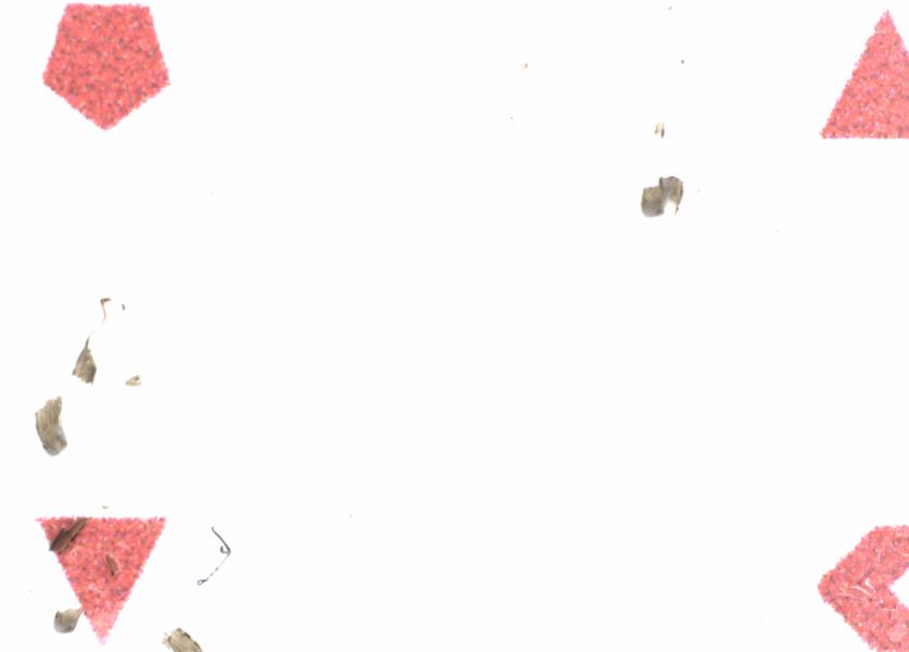 Fullscreen Image