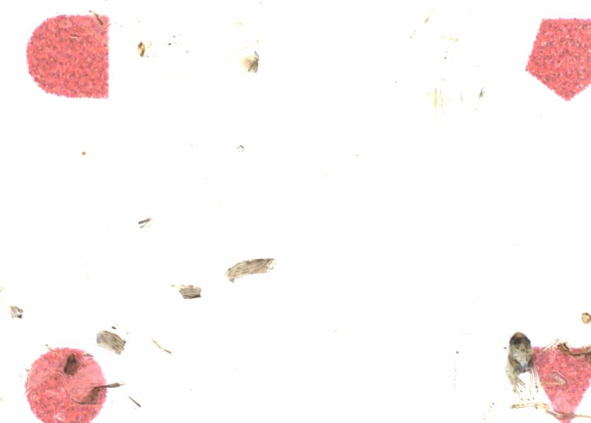 Fullscreen Image