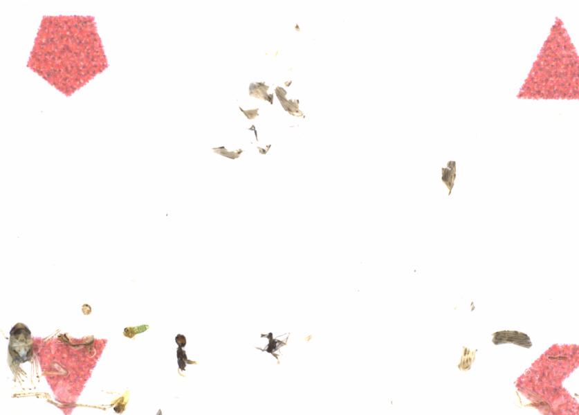 Fullscreen Image
