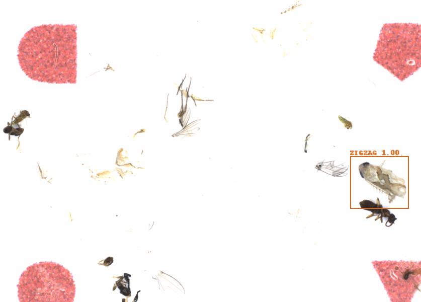 Fullscreen Image